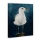Stupell Industries Seagull Perched over Blue Canvas Wall Art Design by Grace Popp